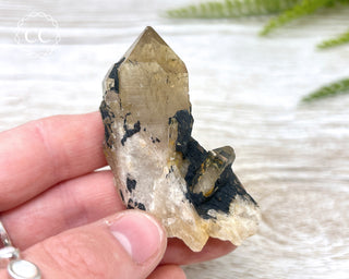 Congo Citrine #10