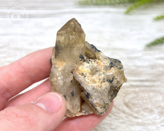 Congo Citrine #11