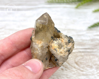 Congo Citrine #11
