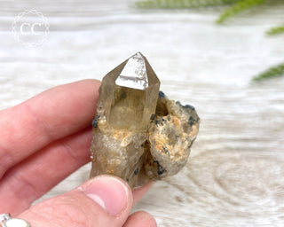 Congo Citrine #11