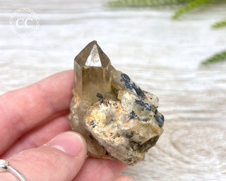 Congo Citrine #11