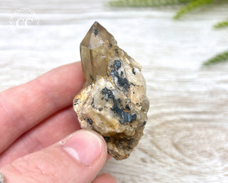 Congo Citrine #11