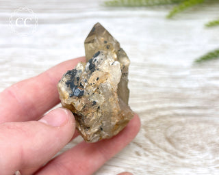 Congo Citrine #11