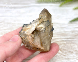 Congo Citrine #11