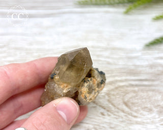Congo Citrine #11