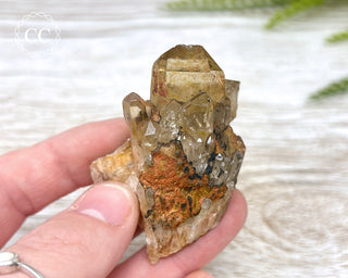 Congo Citrine #12