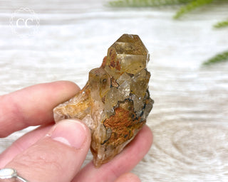 Congo Citrine #12