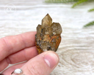 Congo Citrine #12