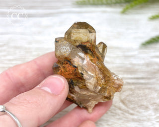 Congo Citrine #12