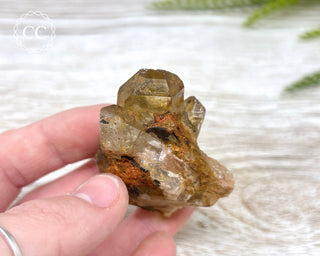 Congo Citrine #12