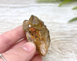 Congo Citrine #12