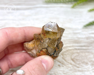Congo Citrine #12