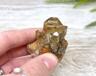 Congo Citrine #12