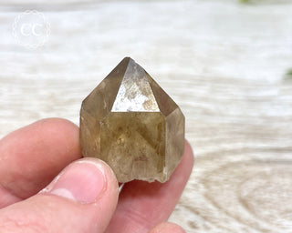 Congo Citrine #13