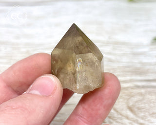Congo Citrine #13