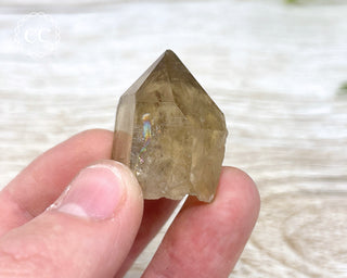 Congo Citrine #13
