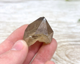 Congo Citrine #13
