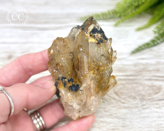 Congo Citrine #2