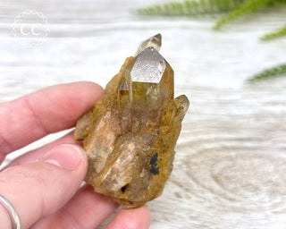 Congo Citrine #3