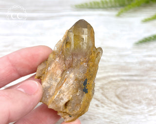 Congo Citrine #3