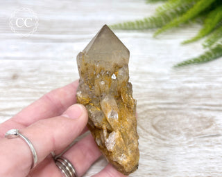 Congo Citrine #1