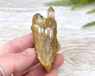 Congo Citrine #3