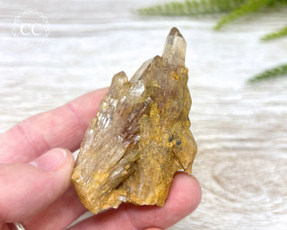 Congo Citrine #3