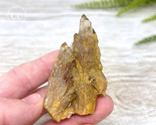 Congo Citrine #3