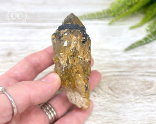 Congo Citrine #2