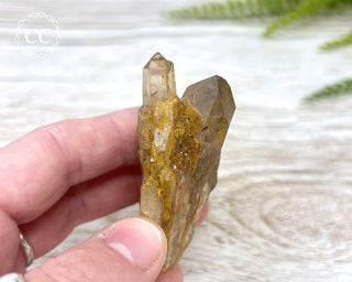 Congo Citrine #3
