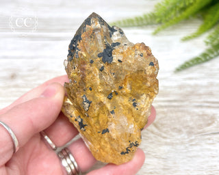 Congo Citrine #2