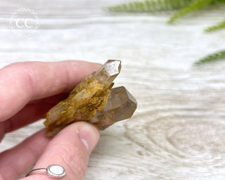 Congo Citrine #3