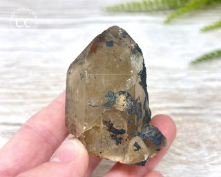 Congo Citrine #4