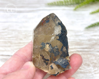 Congo Citrine #4