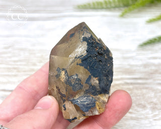 Congo Citrine #4