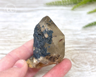 Congo Citrine #4