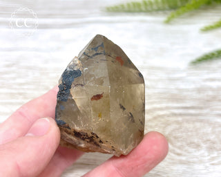 Congo Citrine #4