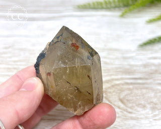 Congo Citrine #4
