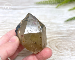 Congo Citrine #4