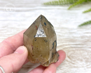 Congo Citrine #4