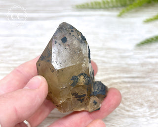 Congo Citrine #4