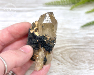 Congo Citrine #5