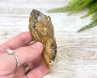 Congo Citrine #2