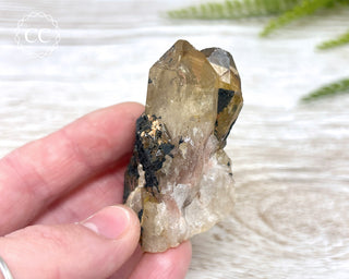 Congo Citrine #5