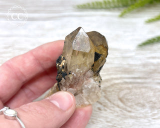 Congo Citrine #5