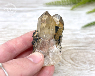 Congo Citrine #5