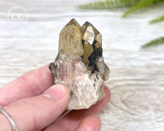 Congo Citrine #5