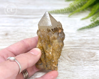 Congo Citrine #1