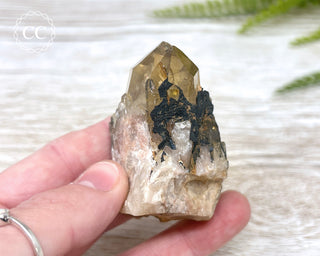 Congo Citrine #5