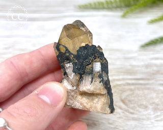 Congo Citrine #5